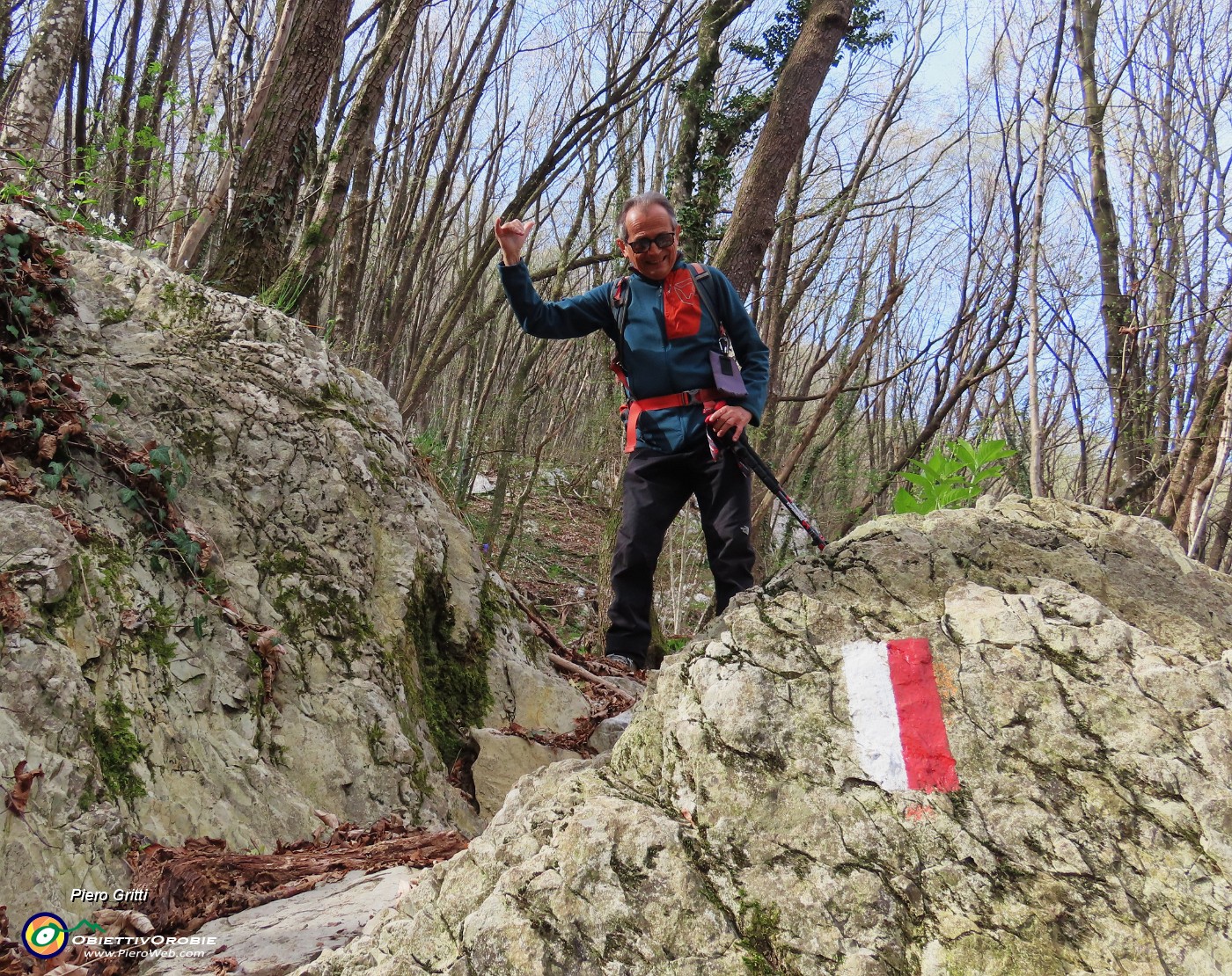18 Bel sentiero in saliscendi nel bosco di carpini neri.JPG